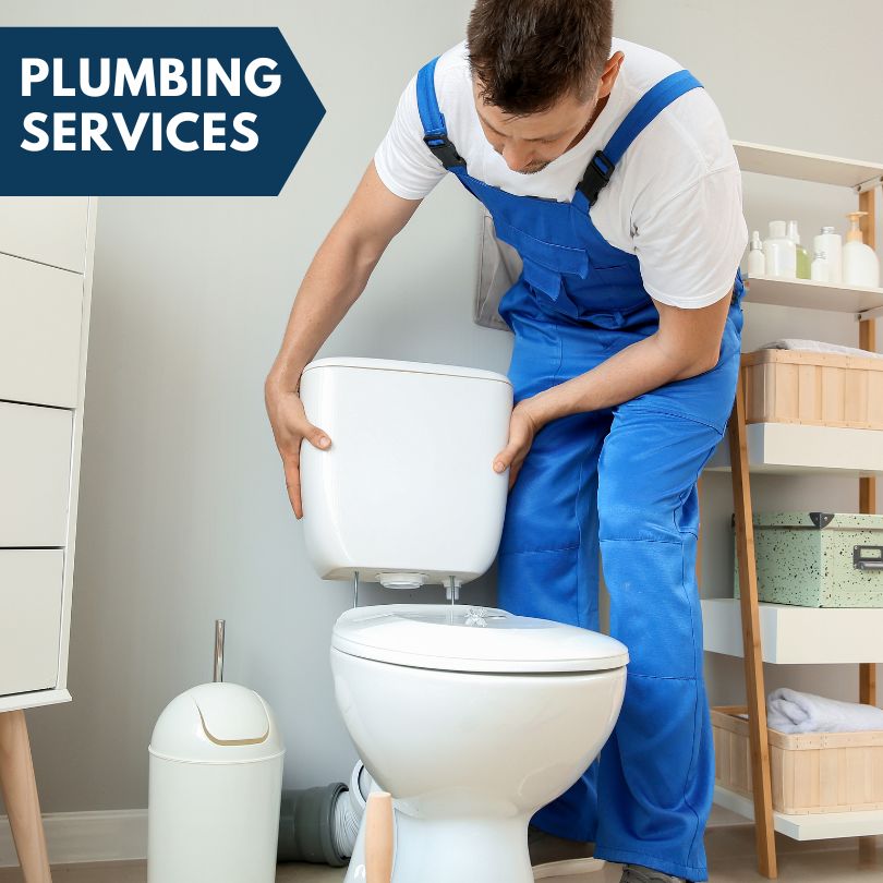 Plumbing Company in Almont, CO